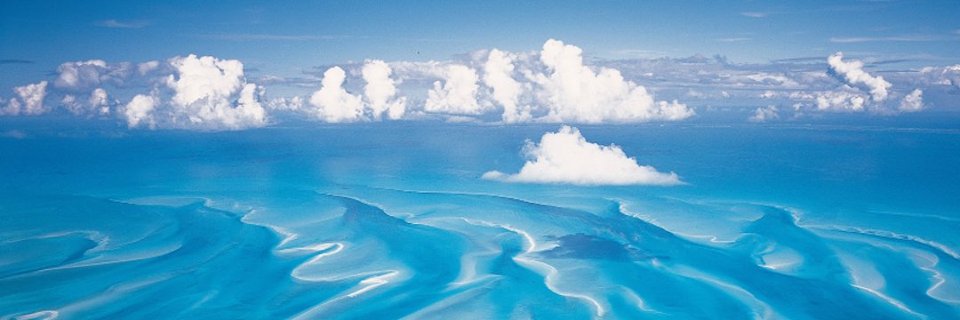 Bahamas Flats